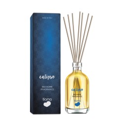 Calypso fragrance air freshener